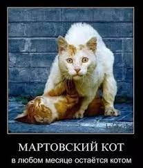 Равноправие женщин и рождаемость