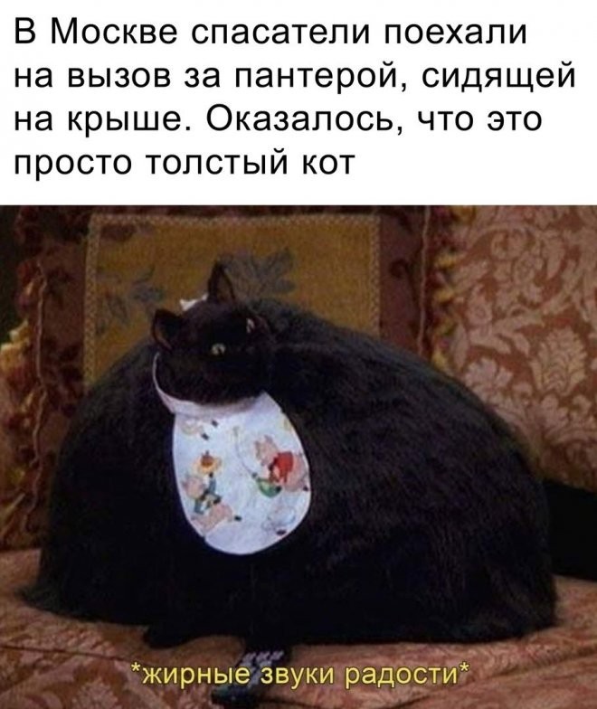 Жирные вздохи сожаления