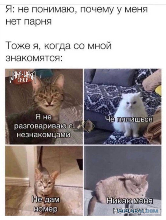 Как бухать с бабой