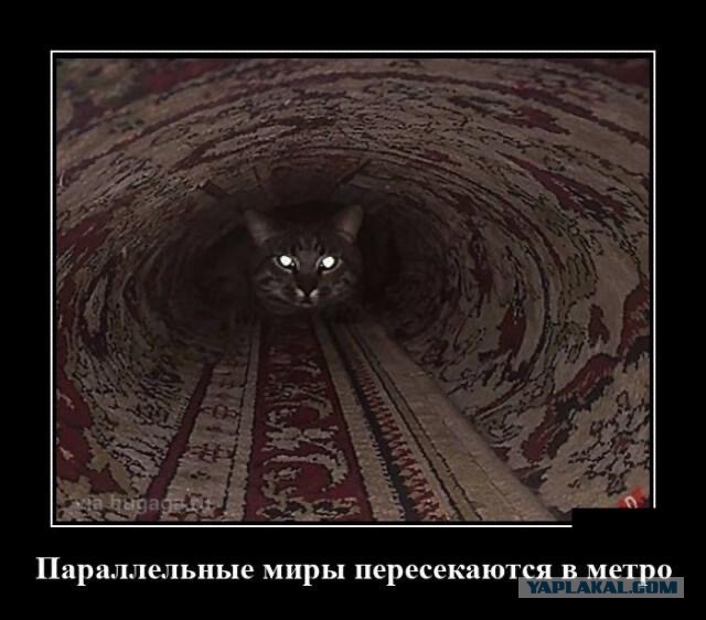 Так себе картинки 11.09.23