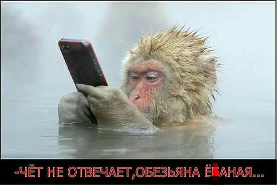 Десять пятничных картинок