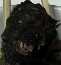 9 опасных продуктов