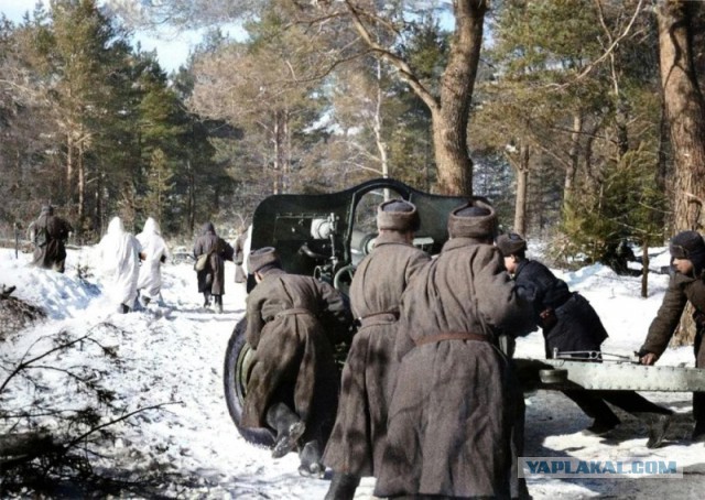 1942 год в 60 фотографиях