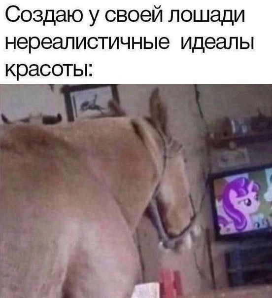 В понедельник нельзя резко входить в работу