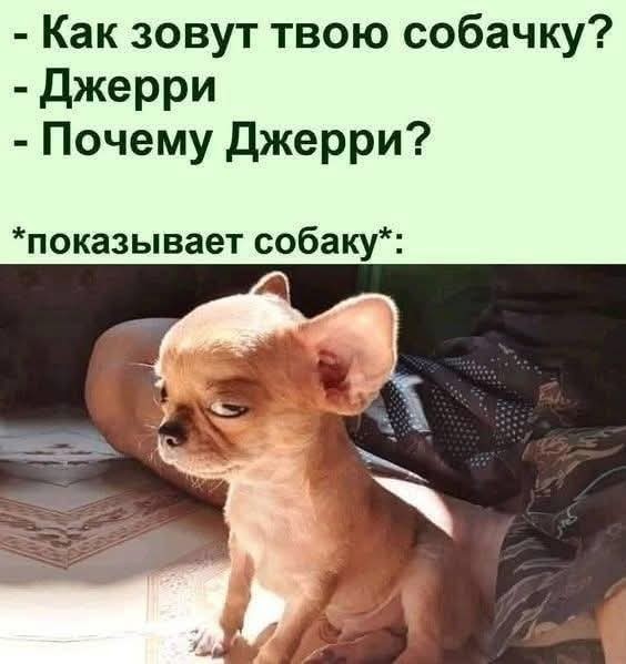 10 из просторов