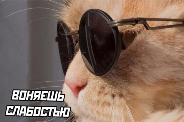 Папка с ответами