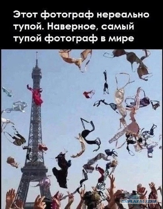 Так себе картинки 20.08.25