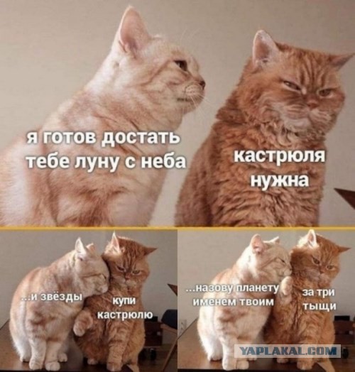 Милые бранятся только тешатся