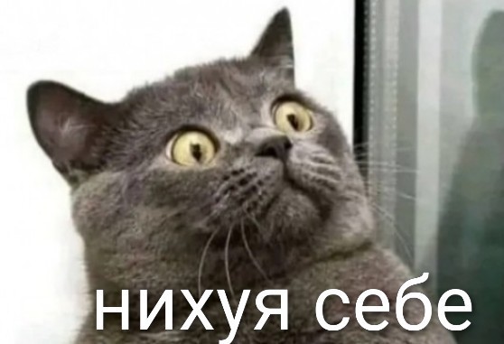 Остановки в Подмосковье оборудуют подогреваемыми сиденьями, бесплатным Wi-Fi и розетками.