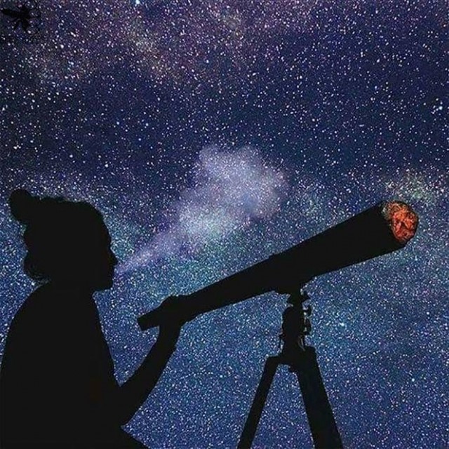 Дневник бросающего пить