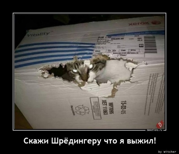 Кот Шрёдингера наоборот