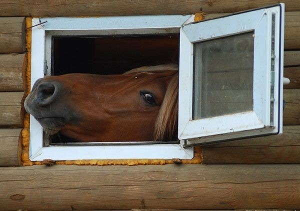 Виновата конечно же рулетка