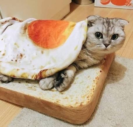 Питонит