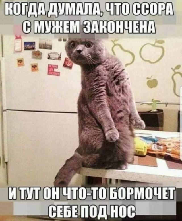 Картинки для деградации 310 (разной степени свежести)