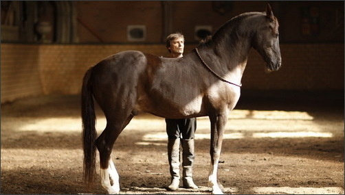 Скоро Год Лошади)))