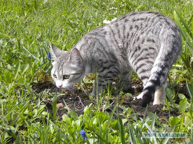 Заехал на мойку - нашел себе милые заботы