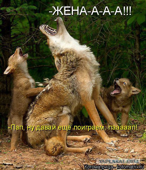 Он смог, он это сделал!