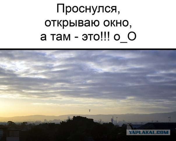 Проснулся...а там