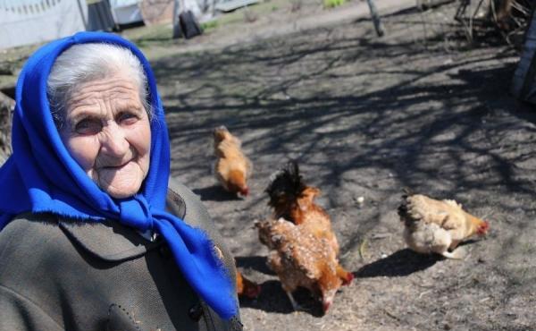 В Украине началась посевная