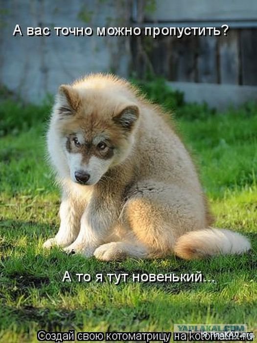 Осторожно - ВСЕ злые!