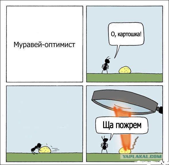 Муравей-оптимист