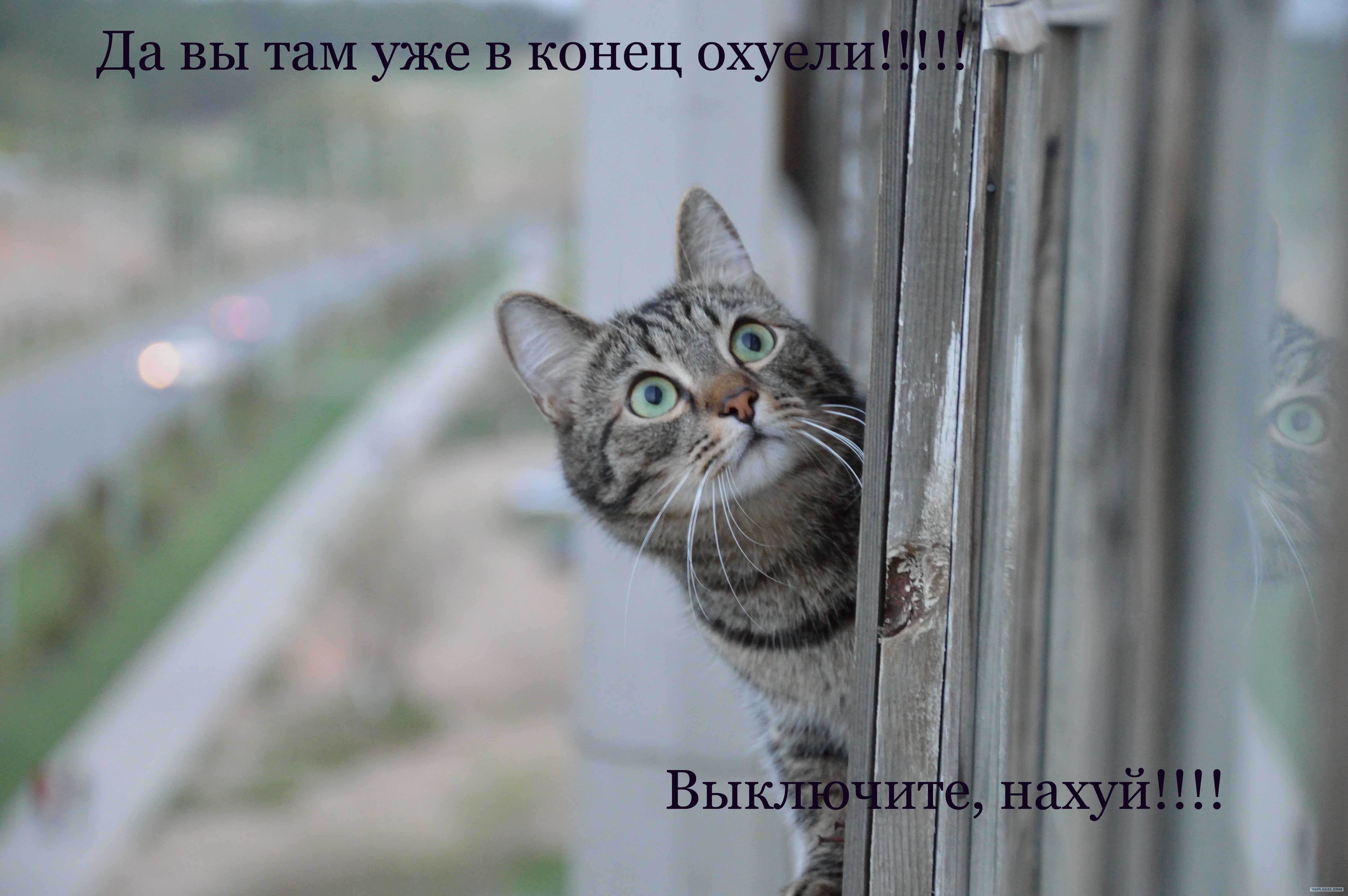 Фразы про турник