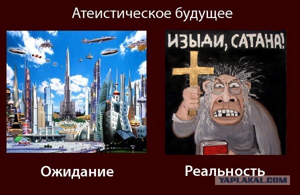 13 мифов об эволюции человека