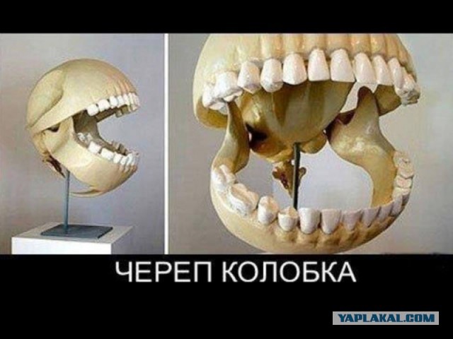 Смешные картинки из всея интернета