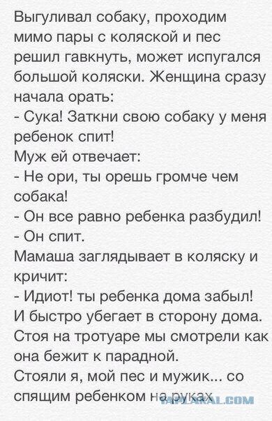 Весёлые картинки