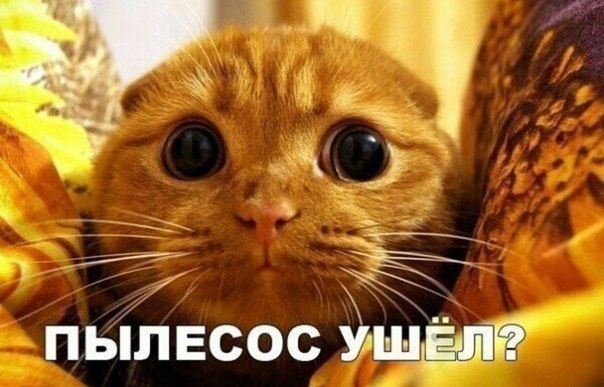 Картинки на субботу