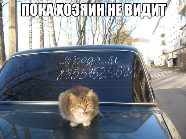 Депрессивный понедельник