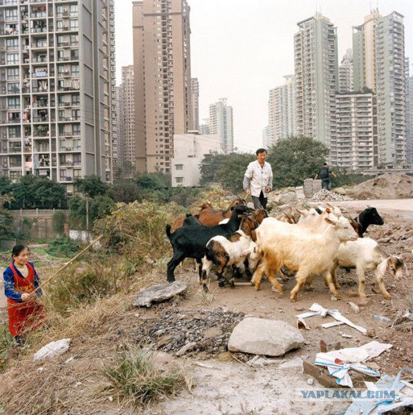 Чунцин – урбанистические джунгли в центре Китая