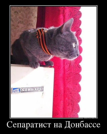 Разные картинки