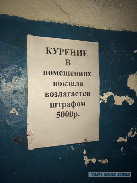 Матерые продавцы и маркетологи