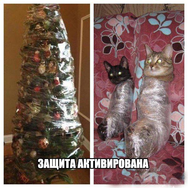 Разные картинки