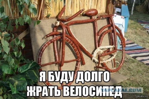 Подборка картинок из сети