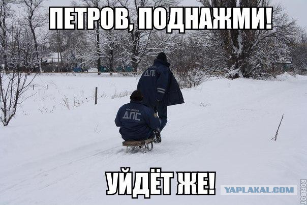 Лёха, вставай!