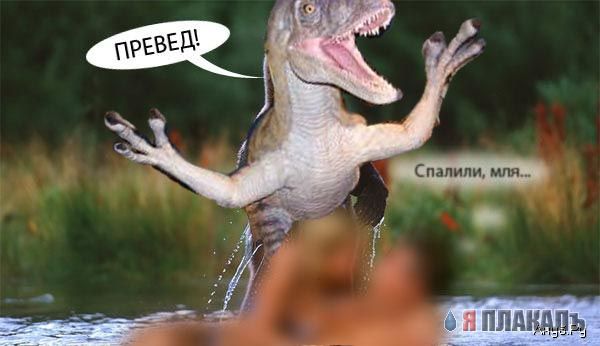 Динозавры , драконы