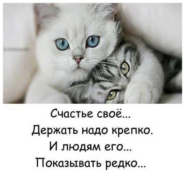 Мохнатые беспредельщики