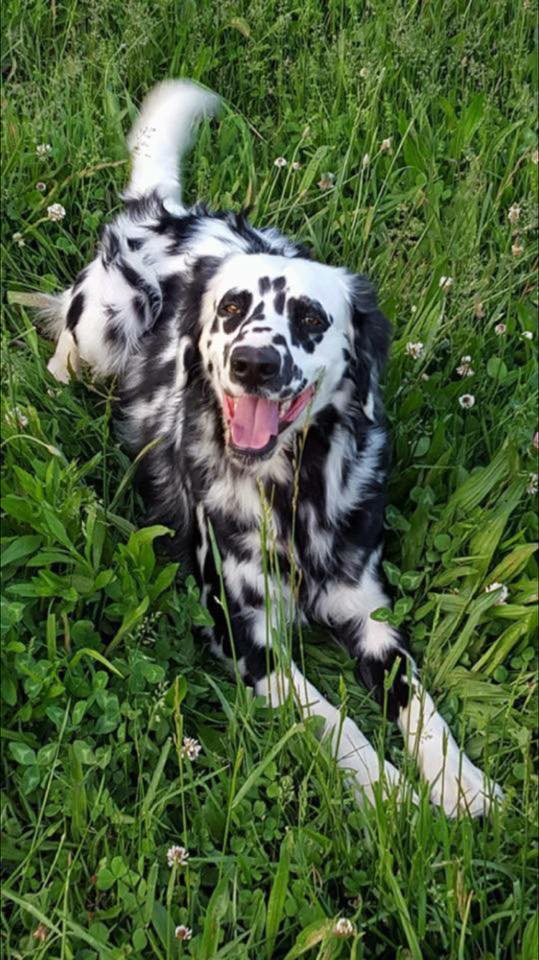 Для поднятия настроения.