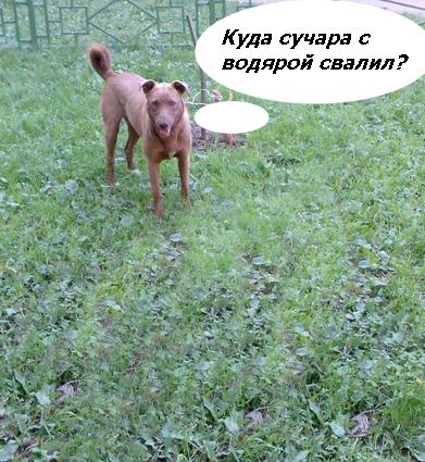 Фотожаба: да здесь где-то недалеко!
