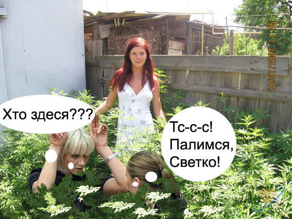 Фотожаба: Работа над законопроектами