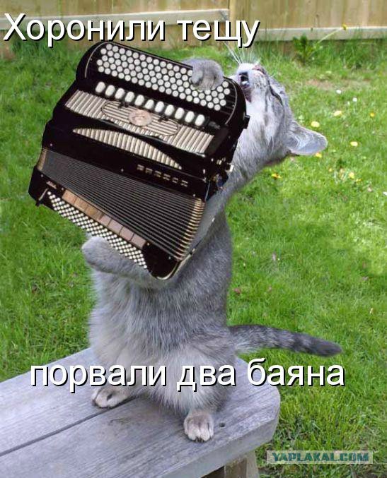 Энергичные негритянские похороны