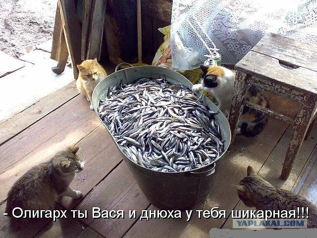 Забавная всячина