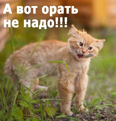 Любой день на ЯП