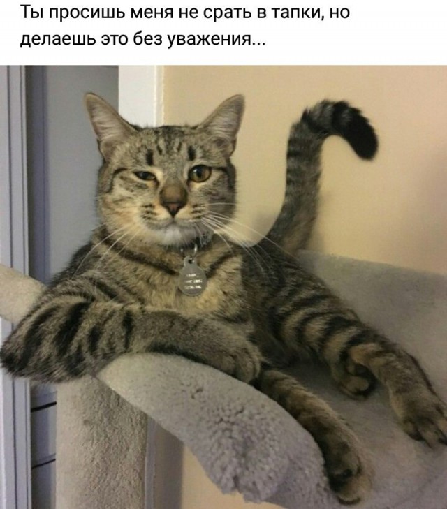 Приколы в стиле "регресс"