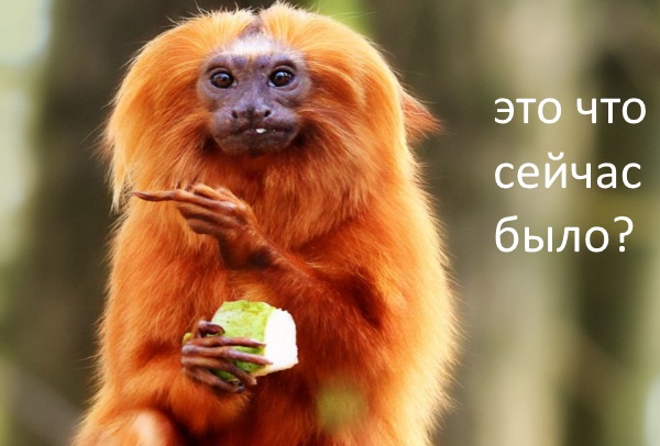 Биатлон. Сезон 2017/2018 . Часть 5. Оберхоф. Германия