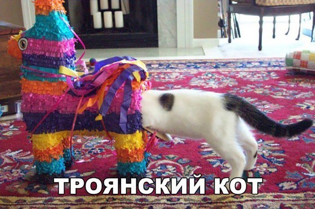 Будет чего-то из сетей