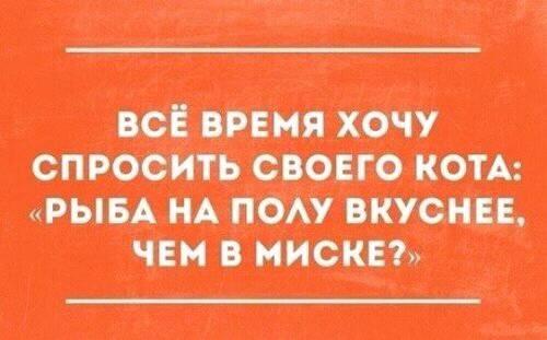 Нестандартный юмор