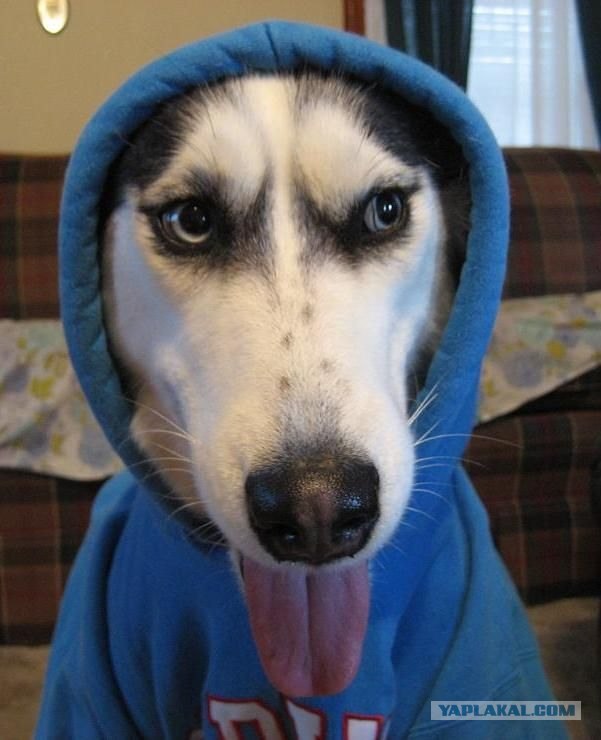 Disney Pixar представляет